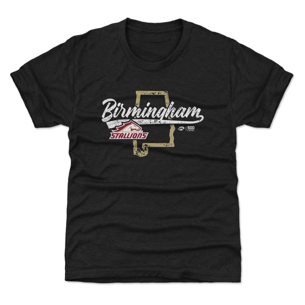 Birmingham Stallions Kids T-Shirt | 500 LEVEL