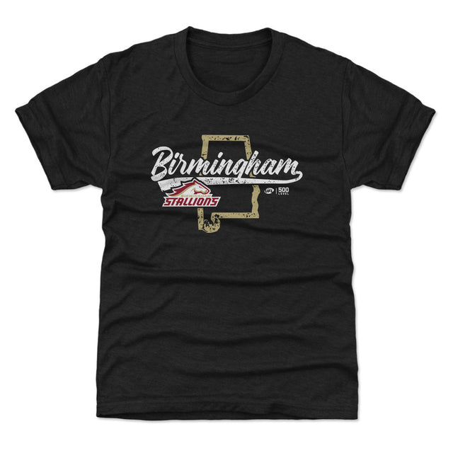 Birmingham Stallions Kids T-Shirt | 500 LEVEL