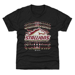 Birmingham Stallions Kids T-Shirt | 500 LEVEL