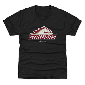 Birmingham Stallions Kids T-Shirt | 500 LEVEL