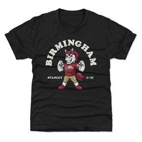 Birmingham Stallions Kids T-Shirt | 500 LEVEL