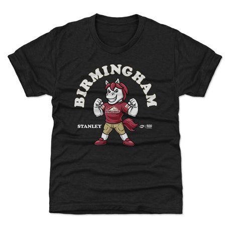 Birmingham Stallions Kids T-Shirt | 500 LEVEL
