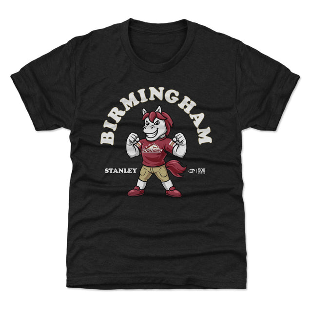 Birmingham Stallions Kids T-Shirt | 500 LEVEL