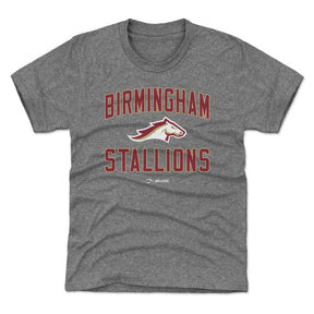 Birmingham Stallions Kids T-Shirt | 500 LEVEL