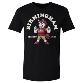Birmingham Stallions Men's Cotton T-Shirt | 500 LEVEL