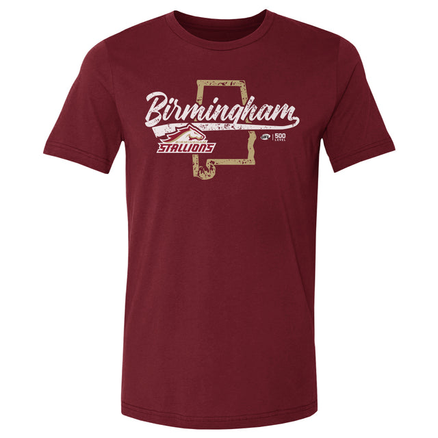 Birmingham Stallions Men's Cotton T-Shirt | 500 LEVEL
