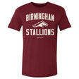 Birmingham Stallions Men's Cotton T-Shirt | 500 LEVEL