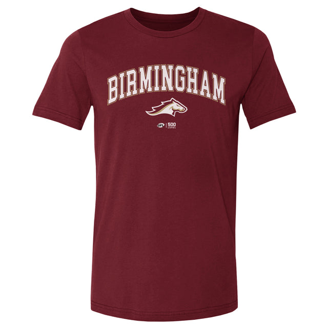 Birmingham Stallions Men's Cotton T-Shirt | 500 LEVEL