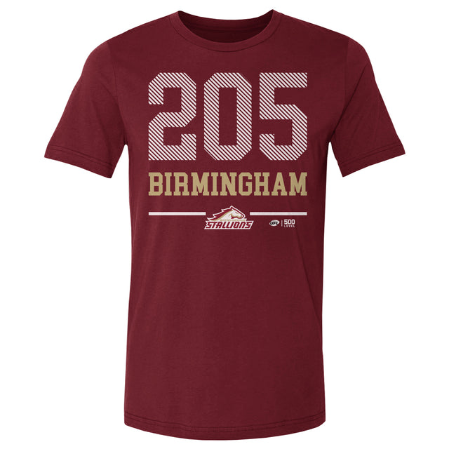 Birmingham Stallions Men's Cotton T-Shirt | 500 LEVEL