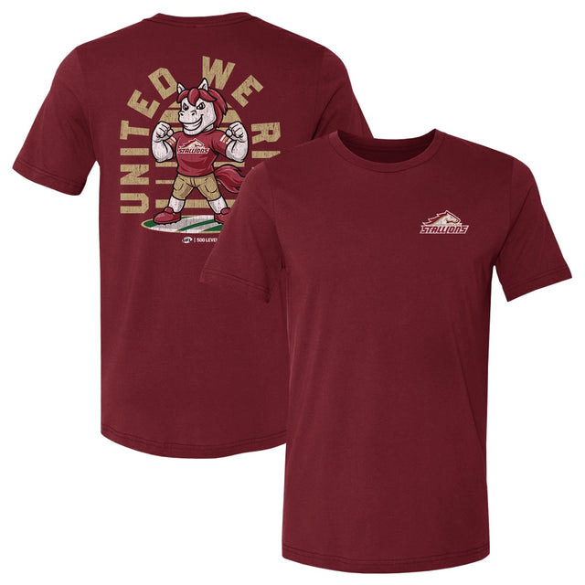 Birmingham Stallions Men's Cotton T-Shirt | 500 LEVEL