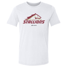 Birmingham Stallions Men's Cotton T-Shirt | 500 LEVEL