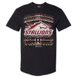 Birmingham Stallions Men's Heavyweight T-Shirt | 500 LEVEL