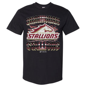 Birmingham Stallions Men's Heavyweight T-Shirt | 500 LEVEL