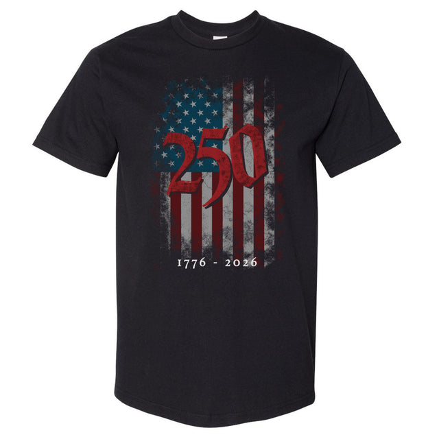USA Men's Heavyweight T-Shirt | 500 LEVEL