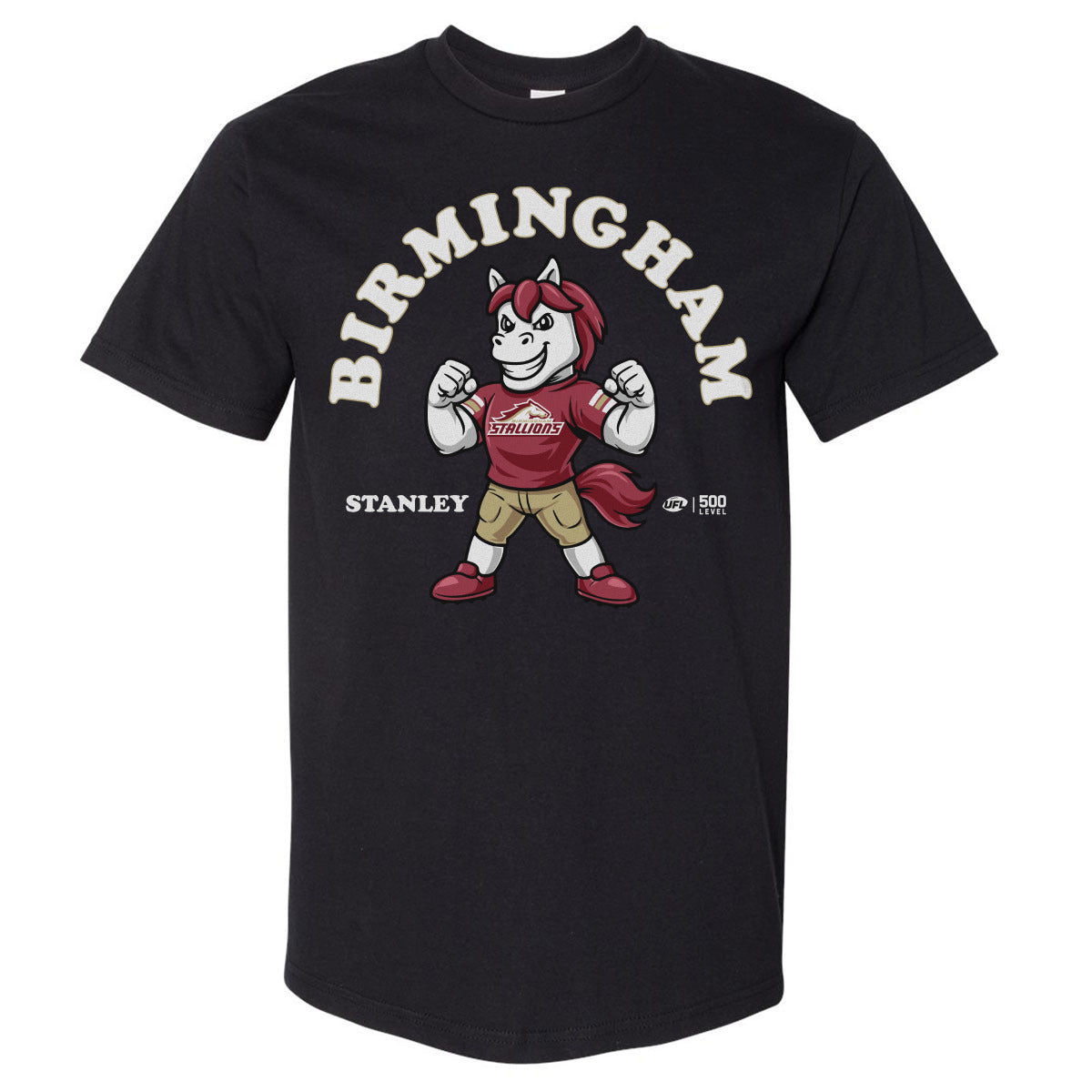 Birmingham Stallions Men's Heavyweight T-Shirt | 500 LEVEL