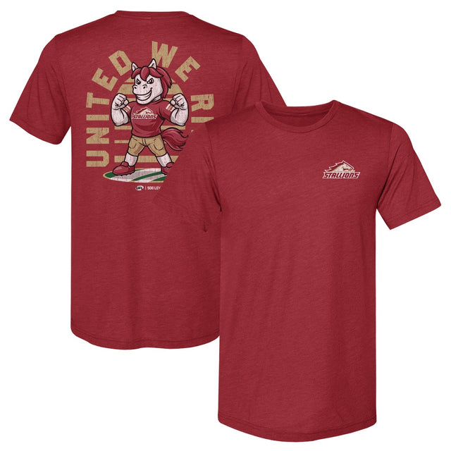Birmingham Stallions Men's Premium T-Shirt | 500 LEVEL