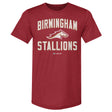 Birmingham Stallions Men's Premium T-Shirt | 500 LEVEL