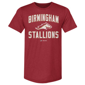 Birmingham Stallions Men's Premium T-Shirt | 500 LEVEL