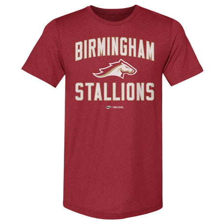 Birmingham Stallions Men's Premium T-Shirt | 500 LEVEL