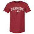 Birmingham Stallions Men's Premium T-Shirt | 500 LEVEL