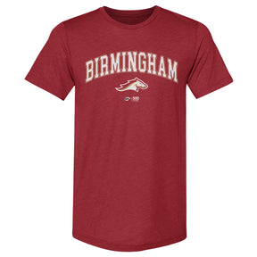 Birmingham Stallions Men's Premium T-Shirt | 500 LEVEL