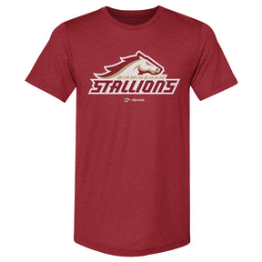 Birmingham Stallions Men's Premium T-Shirt | 500 LEVEL