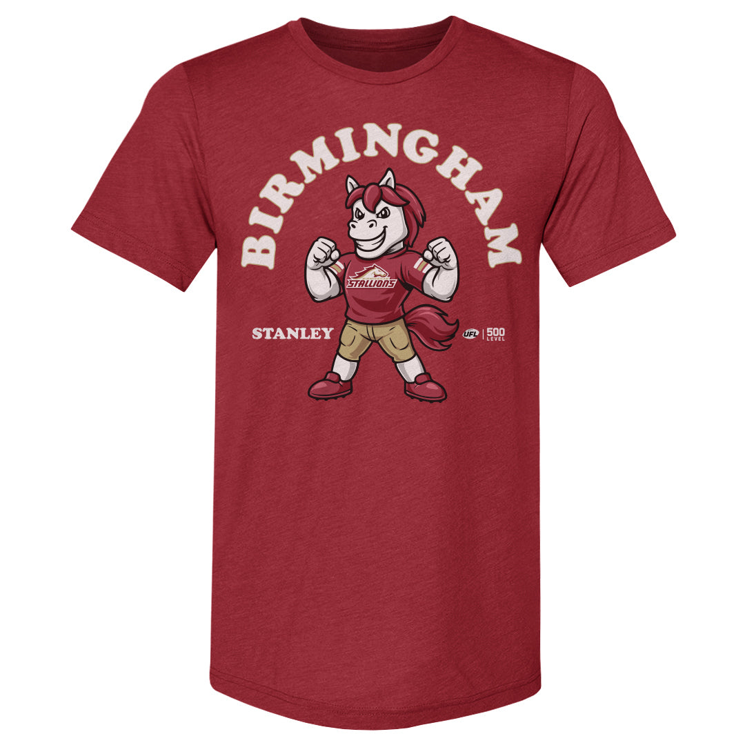 Birmingham Stallions Men's Premium T-Shirt | 500 LEVEL