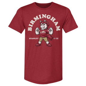 Birmingham Stallions Men's Premium T-Shirt | 500 LEVEL
