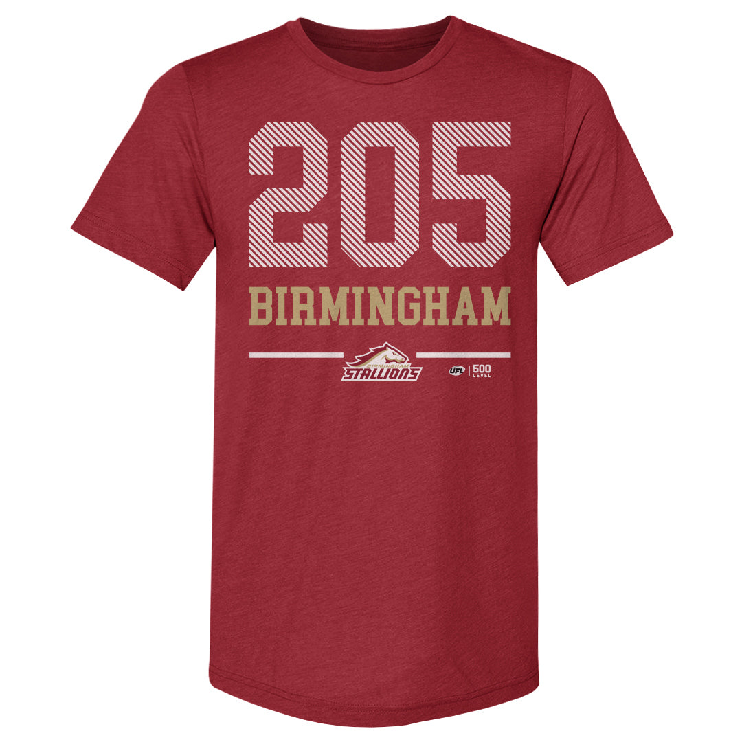 Birmingham Stallions Men's Premium T-Shirt | 500 LEVEL