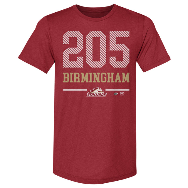 Birmingham Stallions Men's Premium T-Shirt | 500 LEVEL