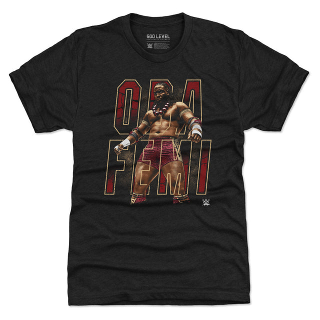 Oba Femi Men's Premium T-Shirt | 500 LEVEL