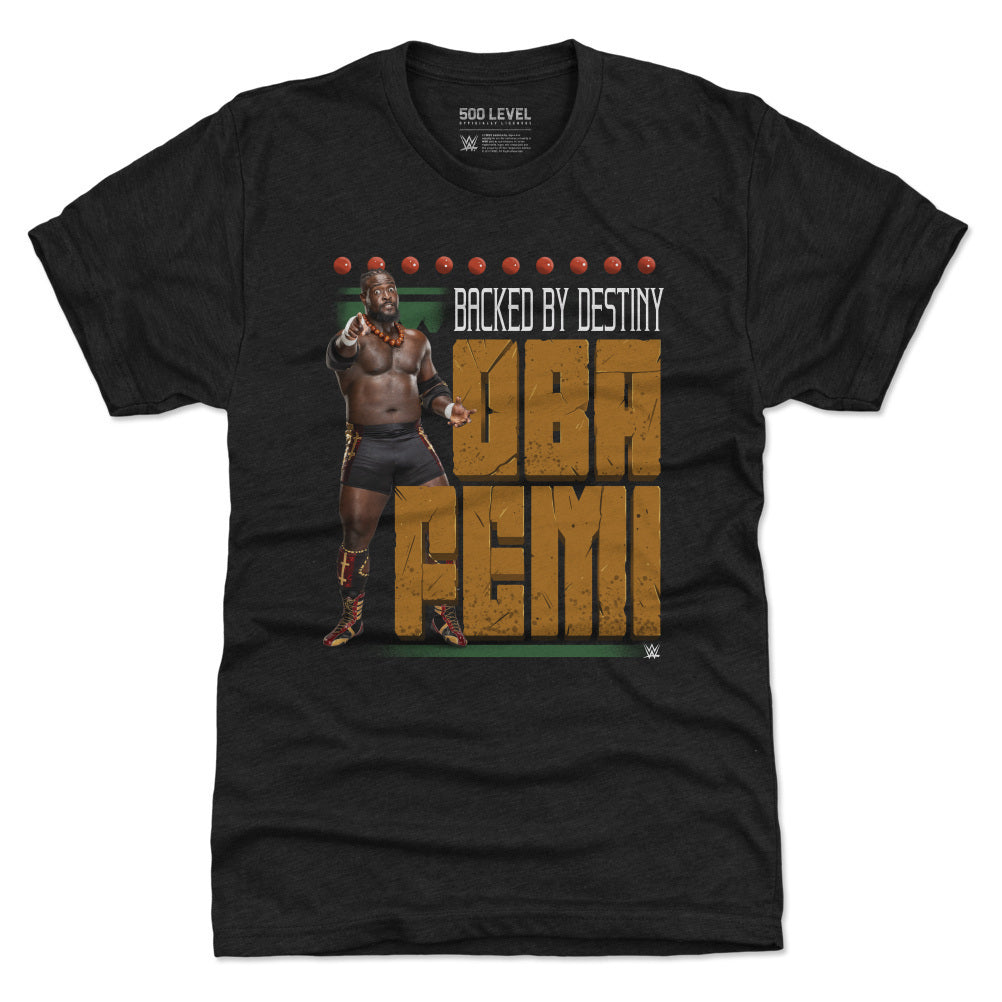 Oba Femi Men's Premium T-Shirt | 500 LEVEL