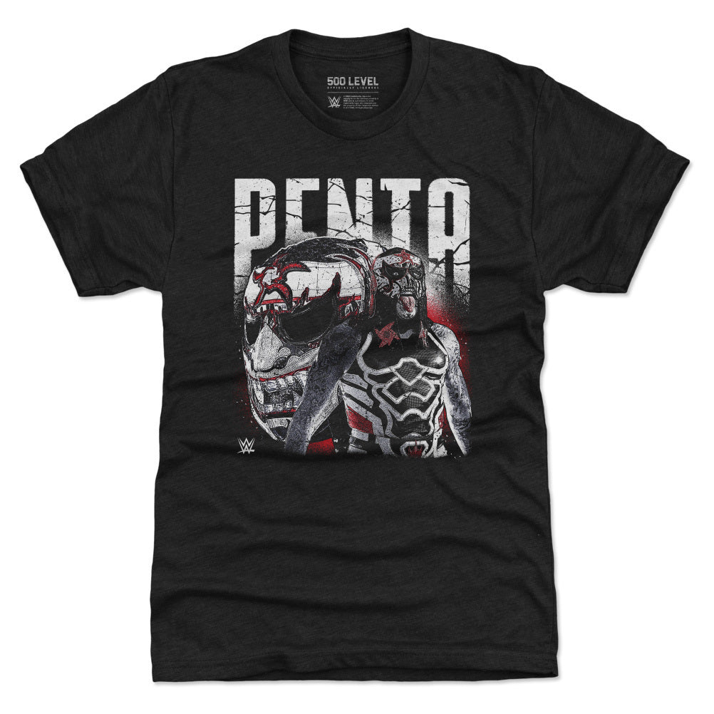 Penta Men's Premium T-Shirt | 500 LEVEL