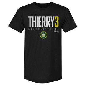 Taylor Thierry Men's Premium T-Shirt | 500 LEVEL