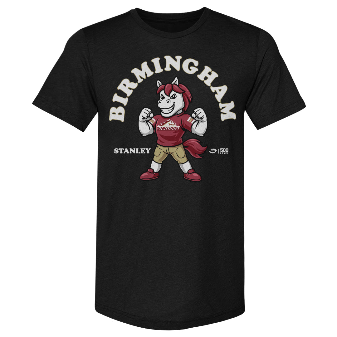 Birmingham Stallions Men's Premium T-Shirt | 500 LEVEL