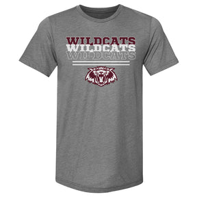 Plano Men's Premium T-Shirt | 500 LEVEL