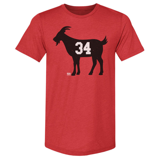 Georgia Men's Premium T-Shirt | 500 LEVEL