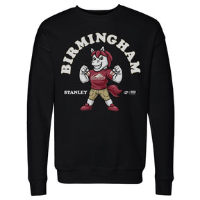 Birmingham Stallions Men's Crewneck Sweatshirt | 500 LEVEL