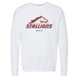 Birmingham Stallions Men's Crewneck Sweatshirt | 500 LEVEL