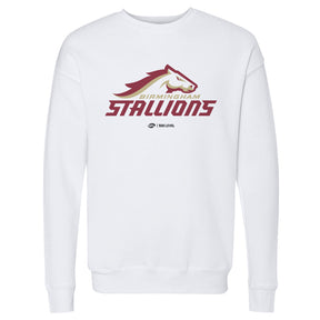 Birmingham Stallions Men's Crewneck Sweatshirt | 500 LEVEL