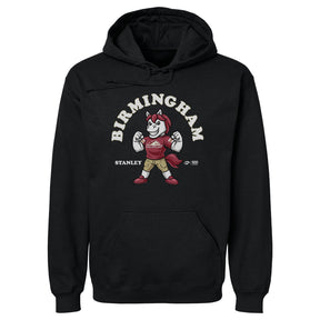 Birmingham Stallions Men's Hoodie | 500 LEVEL