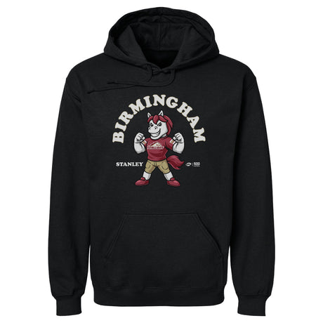 Birmingham Stallions Men's Hoodie | 500 LEVEL