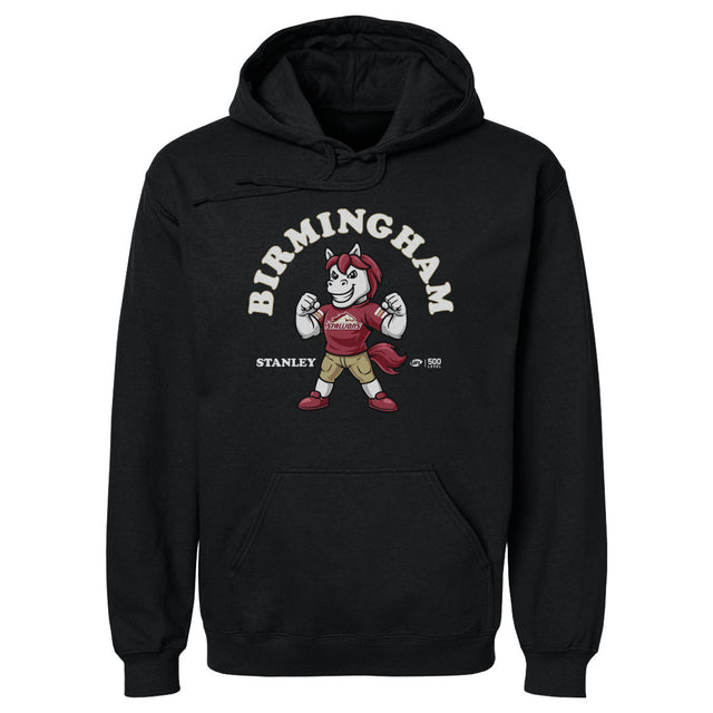 Birmingham Stallions Men's Hoodie | 500 LEVEL