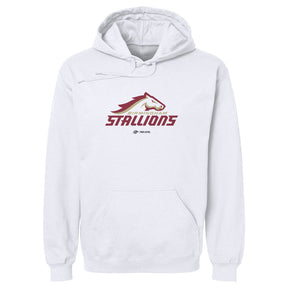 Birmingham Stallions Men's Hoodie | 500 LEVEL