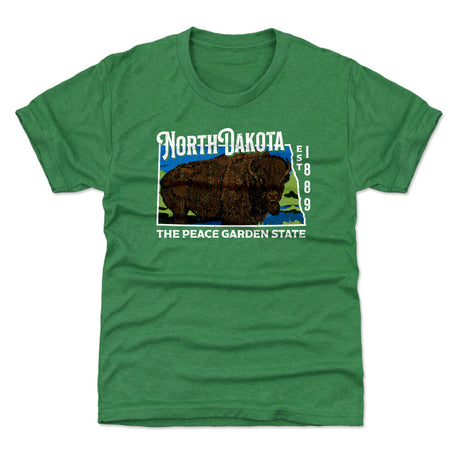 North Carolina Kids T-Shirt | 500 LEVEL