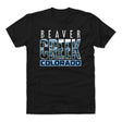 Beaver Creek Men's Cotton T-Shirt | 500 LEVEL
