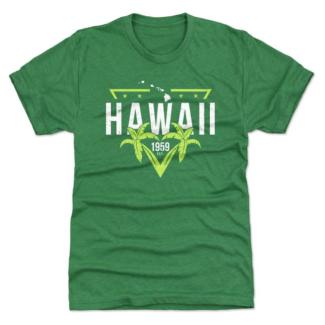 Hawaii Men's Premium T-Shirt | 500 LEVEL