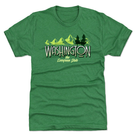 Washington D.C. Men's Premium T-Shirt | 500 LEVEL