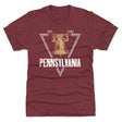 Pennsylvania Men's Premium T-Shirt | 500 LEVEL