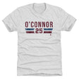 Logan O'Connor Men's Premium T-Shirt | 500 LEVEL